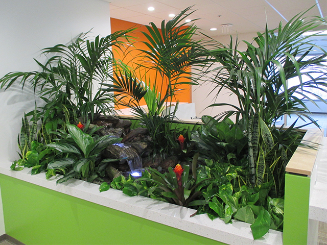 Tips for Interior Landscaping | Interior design plants, Office plants, Indoor  landscaping